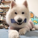 (주)파시코 이미지
