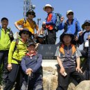 강태공코다리 이미지