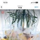 예푸룻티