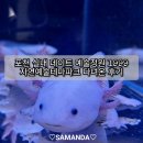 테마정원 | 포천 실내 데이트 예술정원 1999 자연예술테마파크 다녀온 후기
