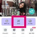 강아지 뷰티 | 망고의 큐티9컷 도전기 뷰티캠 AI 편집 후기 뷰티캠 강아지 큐티9컷