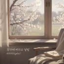 리디아스튜디오