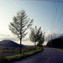 솔미마을 이미지