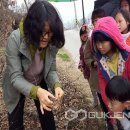 백곡초등학교 이미지