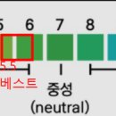 머리까까오 이미지