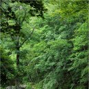 햇살목장 이미지