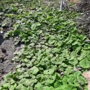 초촌농장 이미지