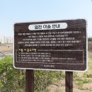 금흥개발 이미지