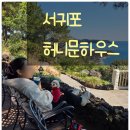 달하우스 | 서귀포 오션뷰카페 허니문하우스 칼호텔 카페