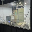 동탄숲속로 | 동탄 두코 내돈내산 찐 후기! | 고소함 가득한 손두부요리