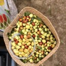 심동 ''마음을 나누는 춤'' | 두물뭍농부시장 10월 후기ㅣ양수리 두물머리의 마음을 담다