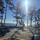 일품생선구이 | 경주감포맛집 일품솥밥 집밥 느낌 생선구이정식 가격대비 솔직 후기