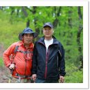 카페송림 이미지