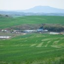 삼천목장 이미지