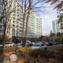 팔구사오