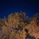 여주-1092 이미지