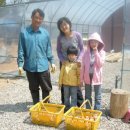 유빈농장 이미지