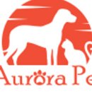 오로라펫 이미지