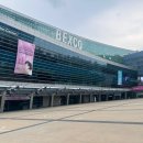 벡스코 | 부산 2025 캣쇼 벡스코 다녀온 후기