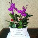 창진농장 이미지