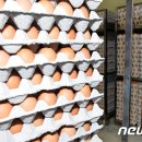 박승주농장 이미지