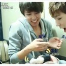 성룡농장 이미지