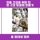 중앙드림치과의원