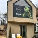 곤충동물 생태 체험교실 | 용인 아기랑 가 볼만한 곳 용인곤충테마파크 다녀온 후기