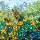 동산충전소 이미지