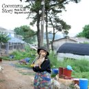 담주할머니 이미지