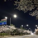 세븐일레븐도봉파크빌점 네이버블로그