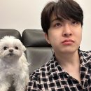 광고영재