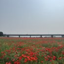 영산강둔치체육공원 | 나주 / 영산강둔치체육공원 제1주차장