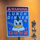 닭과 사람들 이미지
