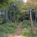 생각의 오름 이미지