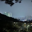 분당-143 이미지