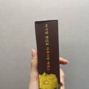피부사랑 | [속당김? 예민피부? 천년초로 피부를 진정시키다🌵] 이기영 박사 천년초 피부사랑 에센스 실사용 후기💧