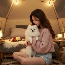 반디 동물병원 | 반려견 영양제 싸게 사는 방법 총정리 (2025년 최신)