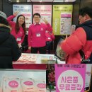 와퐁 이미지