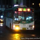 백성운수(주) 이미지