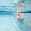 탁구(취미과정 / 야간) | 전주데몬프리다이빙, 수영 못해도 가능한 프리다이빙 입문 과정