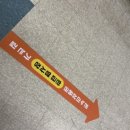 한성상회 | 서울 노량진수산물도매시장 가성비좋은 특대방어맛집 횟집추천 133호 한성상회 회센터