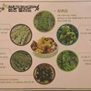 고래한입피자&비츠샐러드 이미지