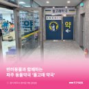 돌고래약국 이미지