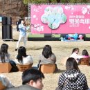 영랑호 입구 | 속초 영랑호 벚꽃축제 완전 정복! 설악산을 배경 삼아 즐기는 웰니스 벚꽃놀이!