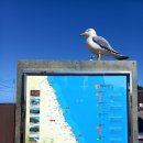 천진해변 이미지