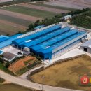 도란에그팜 이미지