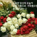 지금;이순간