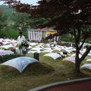 광주지역건설산업노동조합 | 5·18 광주민주화운동과 한국 경제정책의 전환점