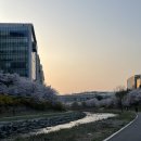 삼평동623-1 이미지